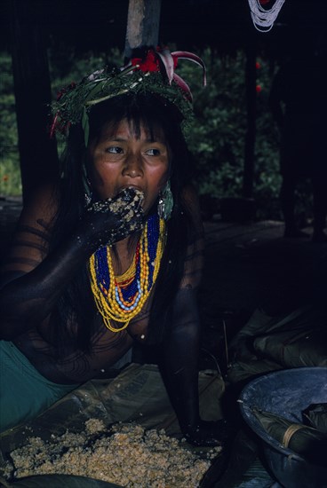 COLOMBIA, Choco, Embera Indigenous People, "Young Embera daughter painted with black dye extracted from Jagua fruit wearing multiple bead necklaces and head-dress of wild hybiscus and lilies  masticates maize  the saliva sets off fermentation  to make chicha maize beer for a ""canta hai"" curing ceremony to be carried out by her father  a shaman.   Pacific coastal region tribe body decoration American Colombian Colombia Female Women Girl Lady Hispanic Indegent Latin America Latino South America  Pacific coastal region tribe body decoration American Colombian Columbia Female Women Girl Lady Hispanic Indegent Latin America Latino South America Female Woman Girl Lady Immature Dad Young Unripe Unripened Green "