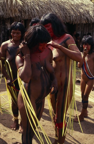 BRAZIL, Mato Grosso, Indigenous Park of the Xingu, Young Panara women applying red and black body paint in preparation for dance.  Both wearing long strips of plant fibres tied around and hanging from upper arms.  Older woman and young girl part seen behind.   Formally known as Kreen-Akrore  Krenhakarore  Krenakore  Krenakarore  Amazon American Brasil Brazilian Indegent Kreen Akore Latin America Latino South America Female Woman Girl Lady Female Women Girl Lady Immature