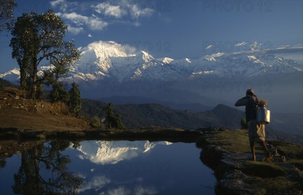 NEPAL, Annapurna Region, Panchase Bhanjyang, A woman walking next to the pond near a Rhododendron tree at Panchase Bhanjyang at sunrise with Annapurna South and Hiunchuli snow capped mountains behind and reflected in the water of the pond.