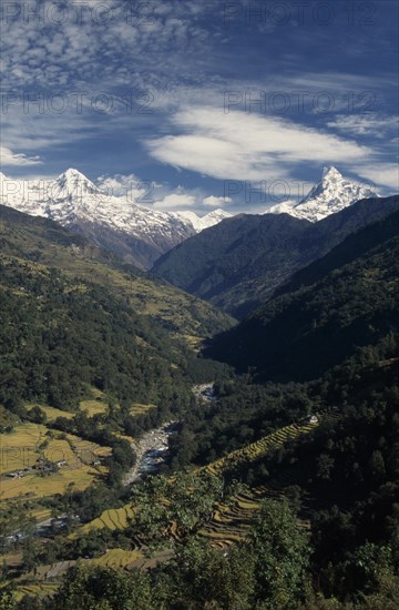 NEPAL, Annapurna Region,  Modi Khola Valley , Sanctuary Trek. Elevated view over the Modi Khola Valley with river running through forest and agricultural terracing seen from north of Chandrakot with the snow covered mountains Hiunchuli on the left and the Machhapuchhare  on the right