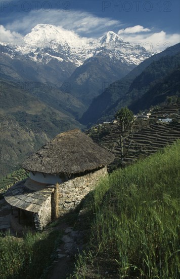 NEPAL, Annapurna Region, Landruk, Sanctuary Trek. Circular stone building with thatched roof overlooking sloping agricultural terracing. Snow capped mountains Annapurna South and Hiunchuli in the background