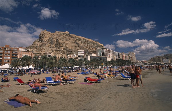 SPAIN, Pais Valenciano, Costa Blanca, "Alicante.  Sunbathers on sandy beach lined with palm trees and apartment buildings overlooked by castle on top of steep, rocky hillside behind."