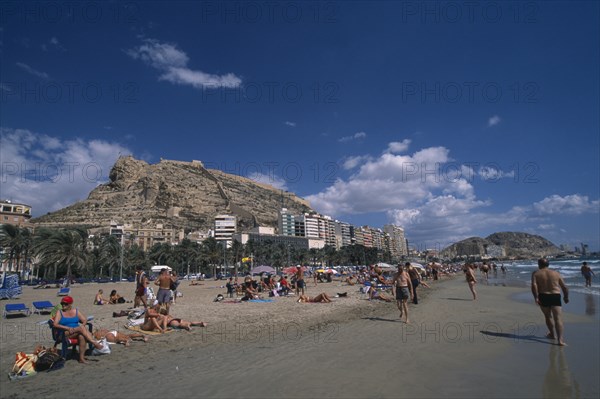 SPAIN, Pais Valenciano, Costa Blanca, "Alicante.  Sunbathers on sandy beach lined with palm trees and apartment buildings overlooked by castle on top of steep, rocky hillside behind."