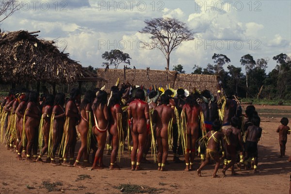 BRAZIL, Mato Grosso, Indigenous Park of the Xingu, Panara men wearing crowns or head-dresses of feathers encircled by women painted with red karajuru and with long strips of plant fibres tied around upper arms during dance. Formally known as Kreen-Akrore  Krenhakarore  Krenakore  Krenakarore  Amazon American Brasil Brazilian Female Woman Girl Lady Indegent Kreen Akore Latin America Latino Male Man Guy South America Female Women Girl Lady Male Men Guy