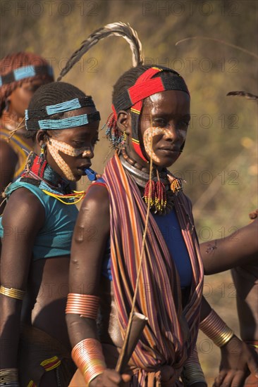 ETHIOPIA, Lower Omo Valley, Tumi, "Hamer Jumping of the Bulls initiation ceremony, Ritual dancing round cows and bulls before the initiate does the jumping"