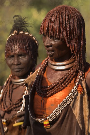 ETHIOPIA, Lower Omo Valley, Tumi, "Hamer Jumping of the Bulls initiation ceremony, Ritual dancing round cows and bulls before the initiate does the jumping"