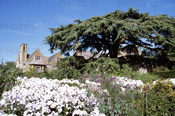 ENGLAND, Gloucestershire, Hidcote Bartrim, "Hidcote Manor Garden, near Chipping Campden. Cedar of Lebanon tree and manor house."