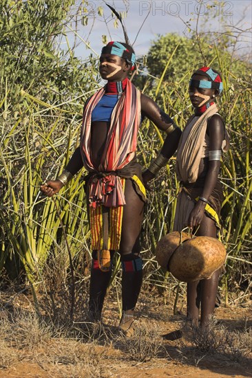 ETHIOPIA, Lower Omo Valley, Tumi, "Hamer Jumping of the Bulls initiation ceremony, Girls watching ritual dancing round cows and bulls before the initiate does the jumping"