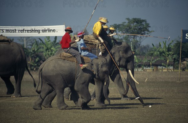 NEPAL, Chitwan National Park, A match taking place at the World Elephant Polo Championships