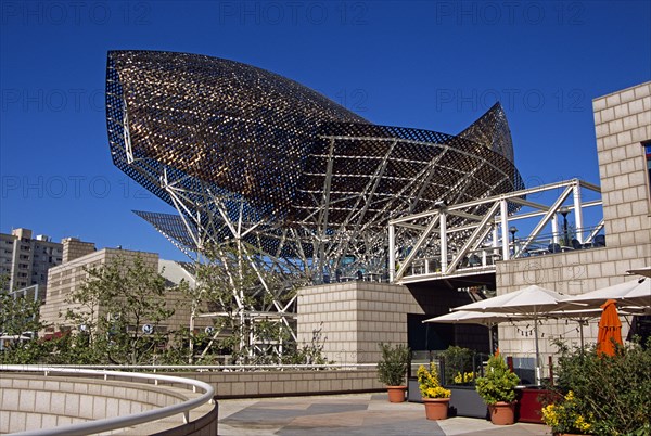 SPAIN, Catalonia, Barcelona, "Port Olimpic, Frank Gehry's bronze fish sculpture."