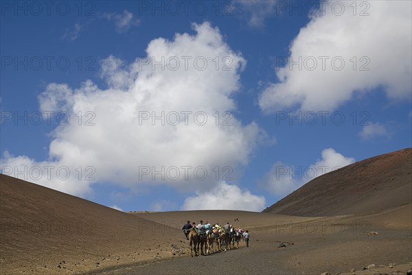 SPAIN, Canary  Islands, Lanzarote, "Timanfaya National Park.  Tourists riding camels through barren, volcanic landscape of the camel park, thick white cloud in blue sky above."