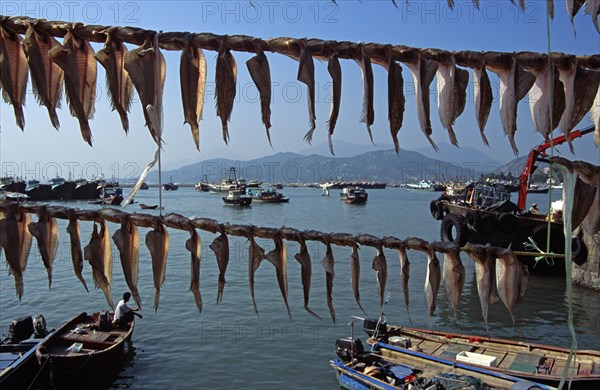 CHINA, Hong Kong, "Cheung Chau Island, Fish drying in front of harbour."