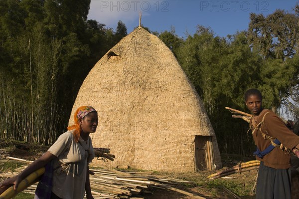 ETHIOPIA, "Chencha mountains,", Dorze Tribe, "Traditional beehive house of the Dorze peoples which are made entirely from organic materials and can last up to 60years, Women carrying bamboo"