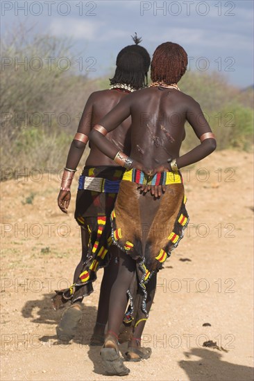 ETHIOPIA, Lower Omo Valley, Turmi, "Hamer Jumping of the Bulls initiation ceremony, Hamer woman walking to the place where the bull jumping is being held. they wear traditional goat skin dresses decorated with cowrie shells, and their back is scarred from ritual flogging"