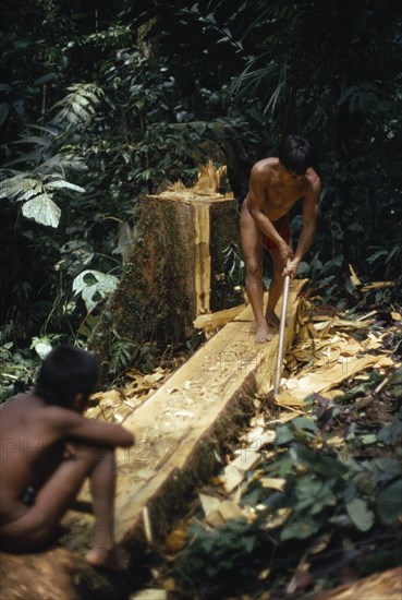 COLOMBIA, Choco, Embera Indigenous People, "Hueso, an Embera father using axe to make family dug out canoe from large felled tree. Pacific coastal region boat piragua tribe "