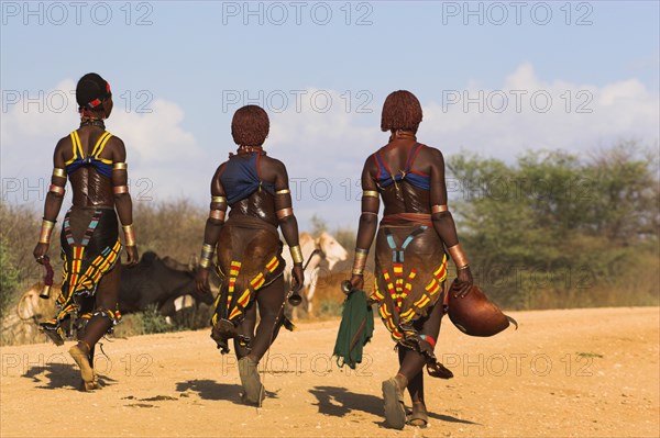 ETHIOPIA, Lower Omo Valley, Tumi, "Hama Jumping of the Bulls intiation ceremony, the initiate comtemplates the ceremony where he will be required to 'jump' over a line of bulls"