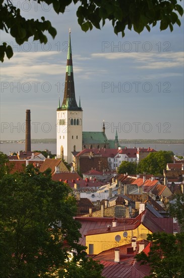 ESTONIA, Tallinn, View of St Olav's Church from the Upper Town.