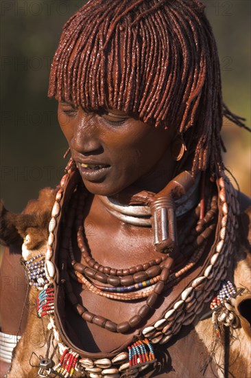 ETHIOPIA, Lower Omo Valley, Turmi, "Hamer Jumping of the Bulls initiation ceremony, Ritual dancing round cows and bulls before the initiate does the jumpin"