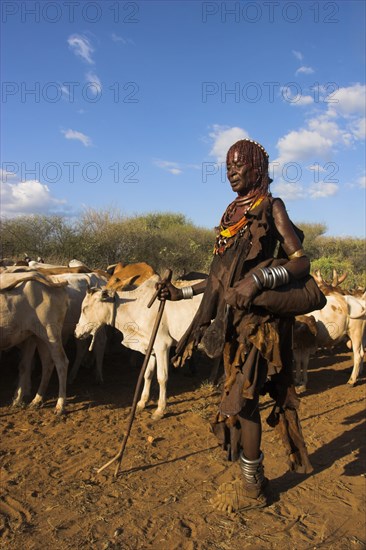 ETHIOPIA, Lower Omo Valley, Tumi, "Hama Jumping of the Bulls initiation ceremony, Ritual dancing round cows and bulls before the initiate does the jumping"