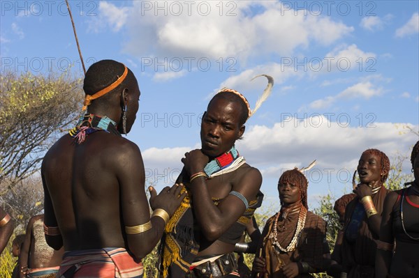 ETHIOPIA, Lower Omo Valley, Tumi, "HamerJumping of the Bulls initiation ceremony, Hamer men chat whilst women perform ritual dancing around bulls"