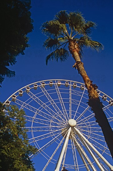 SPAIN, Andalucia, Seville, "The Wheel of Seville, Prado de San Sebastian."