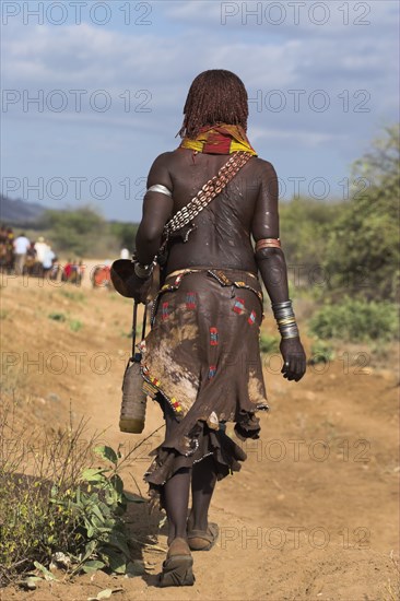 ETHIOPIA, Lower Omo Valley, Turmi, "Hamer Jumping of the Bulls initiation ceremony, Hamer woman walking to the place where the bull jumping is being held. She wears a traditional goat skin dress decorated with cowrie shells, and her back is scarred from ritual flogging"