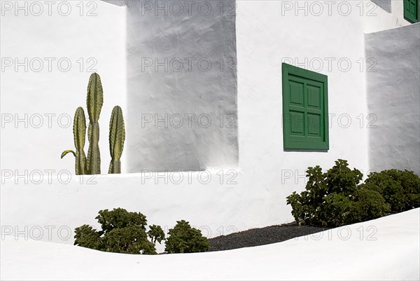 SPAIN, Canary  Islands, Lanzarote, La Casa Museo a La Campesino or the Farmhouse Museum.  Cactus growing against white walls of museum building with green painted window shutter.