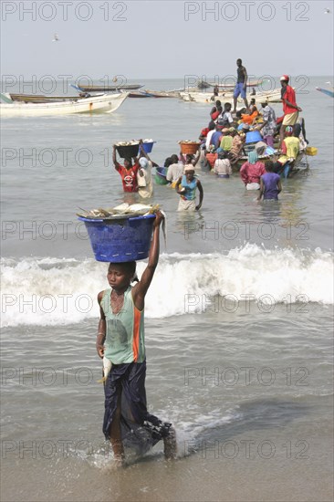 GAMBIA, Western Gambia, Tanji, Tanji coast.  Women carrying bowls full of fish on their heads through shallow water from fishing boats to beach and the fish market .  The Gambian fishing industry is the second largest in Africa.