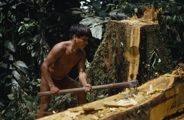 COLOMBIA, Choco, Embera Indigenous People, "Hueso, Embera father using axe to fashion a new family canoe from recently felled hardwood tree. Pacific Coast Colombuia South America "