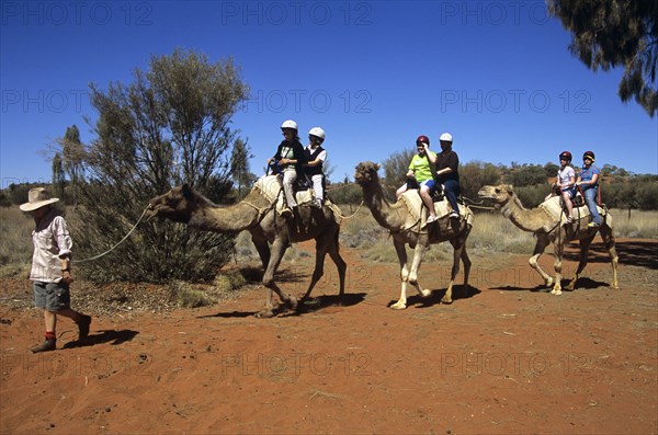 AUSTRALIA, Northern Territory, Uluru, "Kata Tjuta National Park, Camel train and riders, Mount Uluru, Ayers Rock."