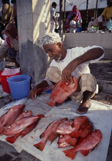 UAE, Oman, Muscat, Male vendor in fish market laying fish out on sacking in front of him.