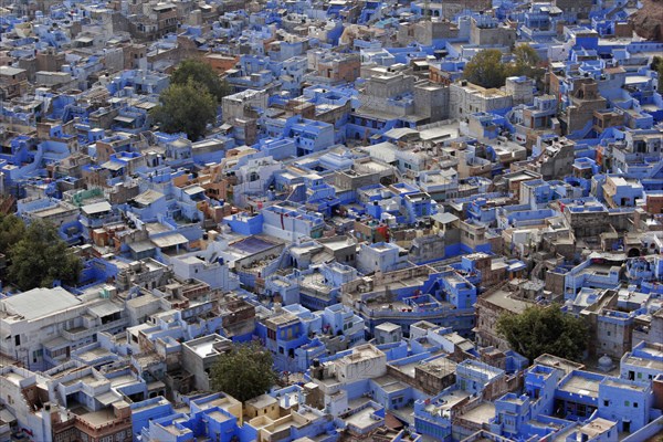 INDIA, Rajasthan, Jodhpur, Elevated view across flat rooftops of blue painted houses of the Brahmin neighbourhood from Meherangarh Fort.