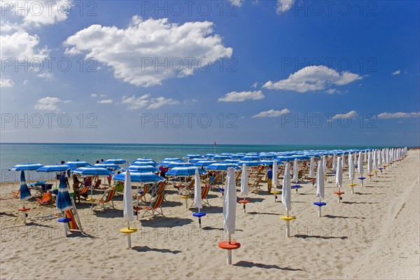 ITALY, Basilicata, Metaponto, Lines of coloured sun umbrellas and striped deck-chairs along quiet stretch of beach overlooking sea.  Blue sky and white clouds above.