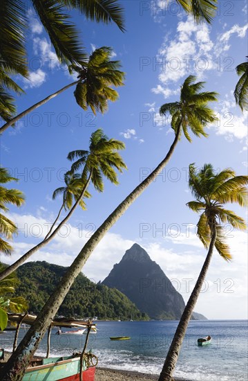 WEST INDIES, St Lucia, Soufriere, Fishing boats on the beach lined with coconut palm trees with the town and the volcanic plug mountain of Petit Piton beyond