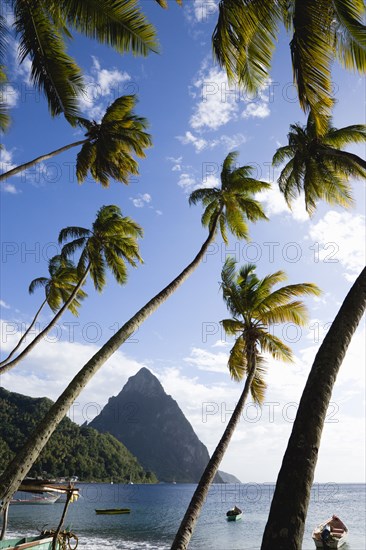 WEST INDIES, St Lucia, Soufriere, Fishing boats on the beach lined with coconut palm trees with the town and the volcanic plug mountain of Petit Piton beyond