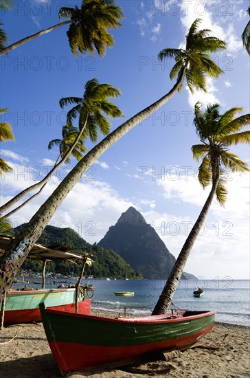 WEST INDIES, St Lucia, Soufriere, Fishing boats on the beach lined with coconut palm trees with the town and the volcanic plug mountain of Petit Piton beyond