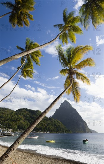 WEST INDIES, St Lucia, Soufriere, Fishing boats on the beach lined with coconut palm trees with the town and the volcanic plug mountain of Petit Piton beyond