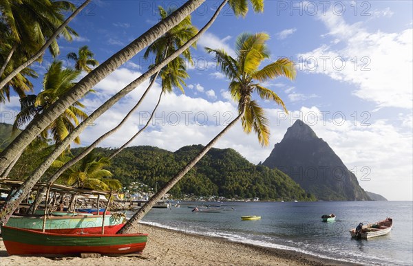 WEST INDIES, St Lucia, Soufriere, Fishing boats on the beach lined with coconut palm trees with the town and the volcanic plug mountain of Petit Piton beyond