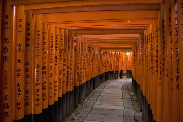 JAPAN , Honshu, Kyoto, "Fushimi-Inari Taisha, Fushimi-Ku Fukakusa Yabunouchi-cho.  Avenue formed by hundreds of torii gates at the Fushimi Shrine."