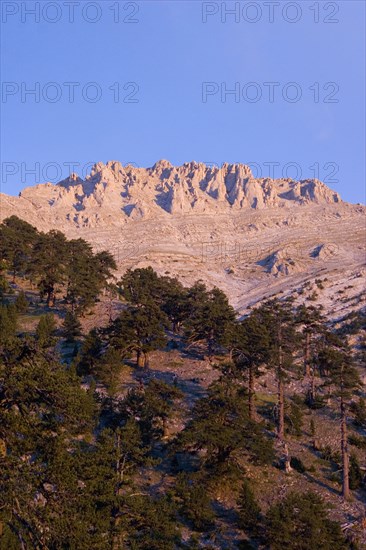 GREECE, Macedonia, Pieria, View of eroded pinnacles of highest peak of Mount Olympus called Mytikas over trees clinging to lower slopes.
