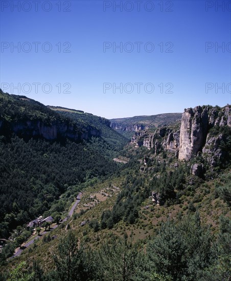 FRANCE, Languedoc-Roussillon, Lozere, "View west along Gorge de la Jonte west of Meyrueis town. Griffon Vultures (Gyps fulvus) circling high in sky above eroded cliff peaks, road and house rooftops below"