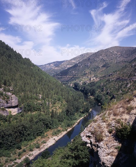 FRANCE, Midi-Pyrenees, Aveyron, "Tarn Gorge.  View west along gorge and river near Village of Prades.  Steep, tree covered hillside and clumps of vegetation clinging to crumbling rocks in foreground."