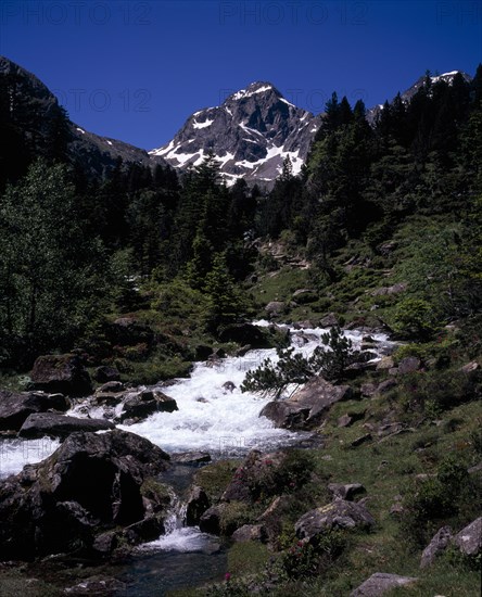 FRANCE, Midi-Pyrenees, Hautes-Pyrenees, Vallee de Lutour looking south with snow covered peak of Pic de Labas 2927 m / 9586 ft above fast flowing river in foreground tumbling over rocks and framed by trees.