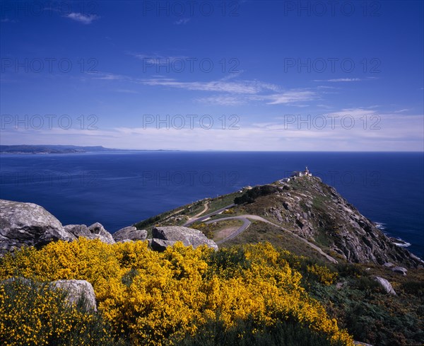 SPAIN, Galicia, Cabo Fisterra, View over rocky peninsula towards Atlantic Ocean with yellow flowering broom in foreground.