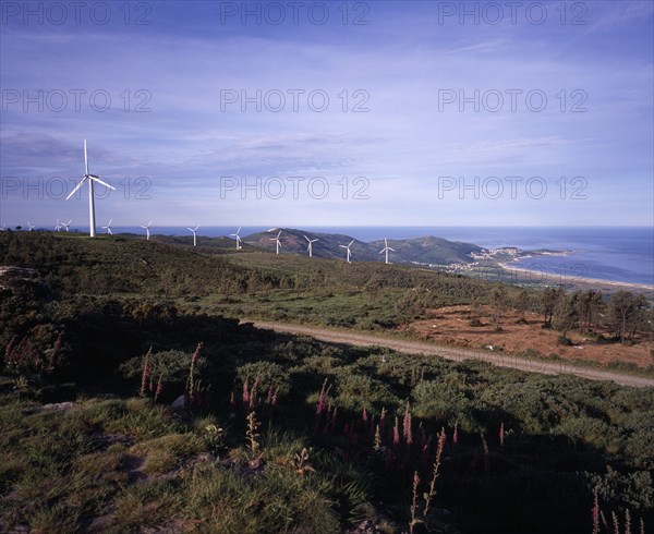 SPAIN, Galicia, Praia de Carnota, "Coastal landscape with line of wind powered electricity generators, wind stunted trees and foxgloves growing in foreground."