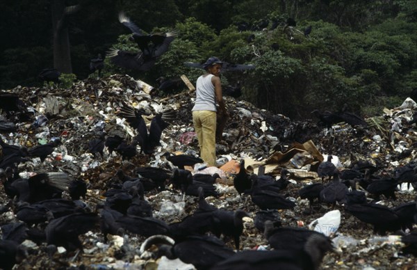 ECUADOR, Guayas Province, Guayaquil , The city rubbish tip with a woman searching for items to recycle amongst waste surrounded by black vulture birds scavenging.