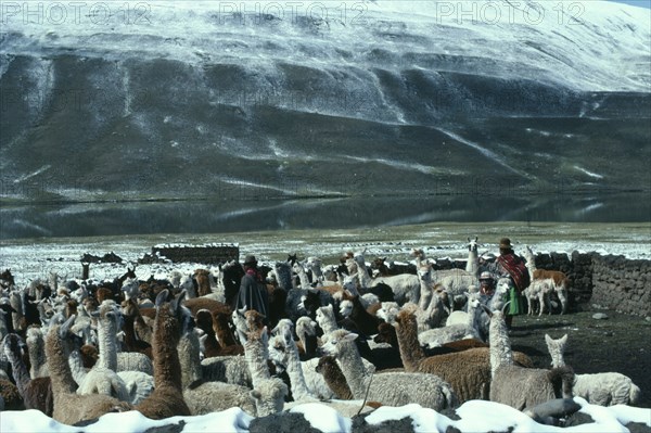 BOLIVIA, Collpa Huata, Family of llama herders next to river with green snow covered mountains behind. Near Peru.
