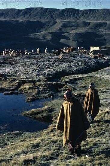 BOLIVIA, Collpa Huata, Llama and Alpaca herders walking on grass next to water wearing poncho’s and wool Chullo hats. Herd of Llama’s and mountains behind.