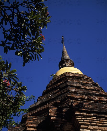 THAILAND, North, Chiang Mai, "Wat Phan On built in 1501 AD.  Gold silk wrapped around base of Chedi spire during winter season, with pink flowered frangipani tree in foreground."