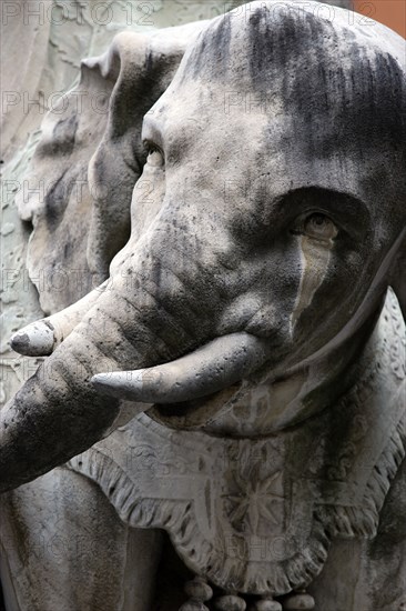 ITALY, Lazio, Rome, Bernini's marble elephant in the Obelisk of Santa Maria sopra Minerva in the Piazza della Minerva